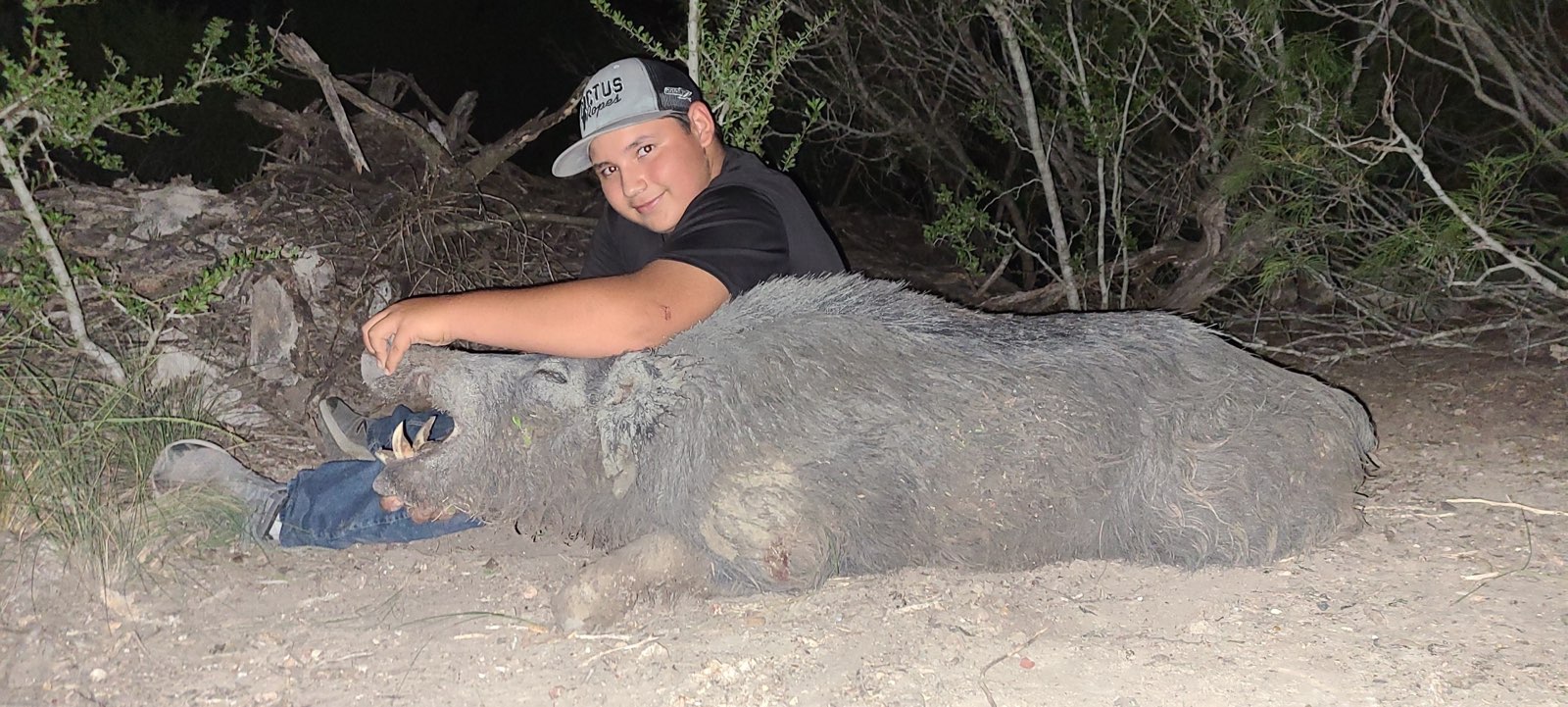 Hog Hunts Katzfey Ranch